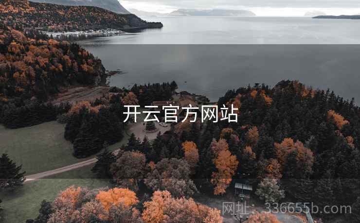 开云官方网站