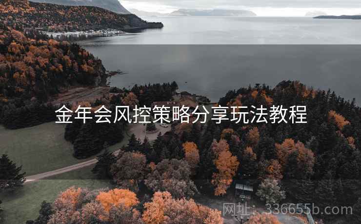 金年会风控策略分享玩法教程