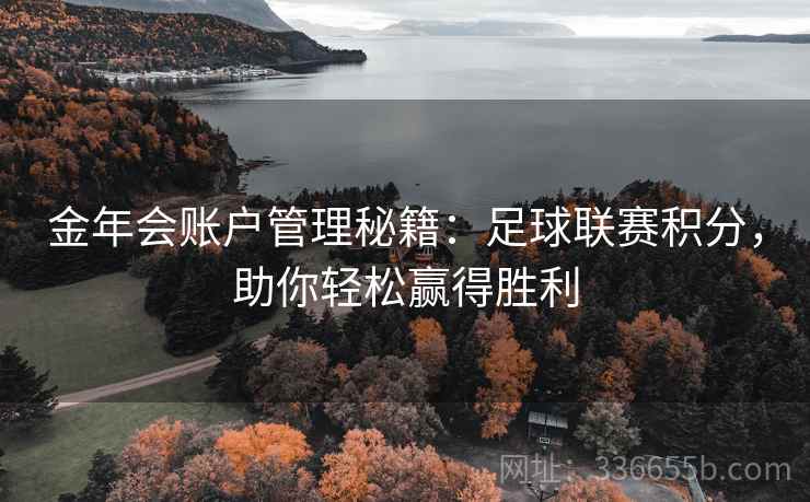 金年会账户管理秘籍：足球联赛积分，助你轻松赢得胜利