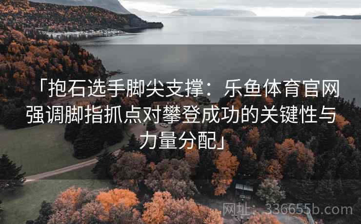 「抱石选手脚尖支撑：乐鱼体育官网 强调脚指抓点对攀登成功的关键性与力量分配」
