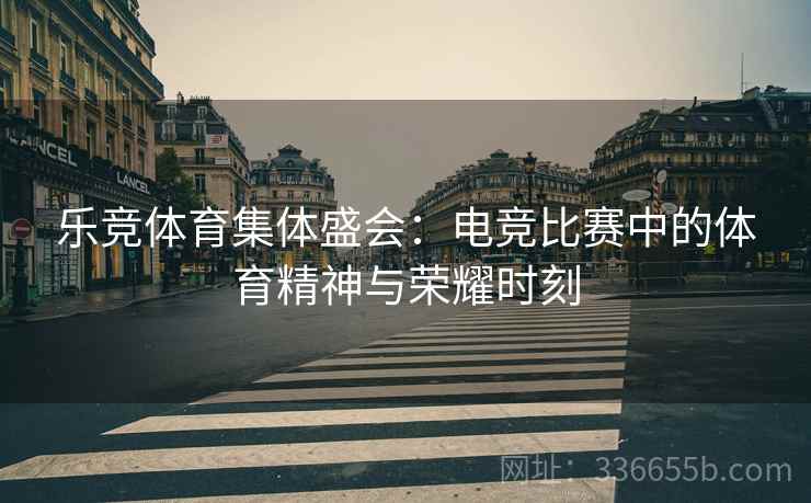 乐竞体育集体盛会：电竞比赛中的体育精神与荣耀时刻
