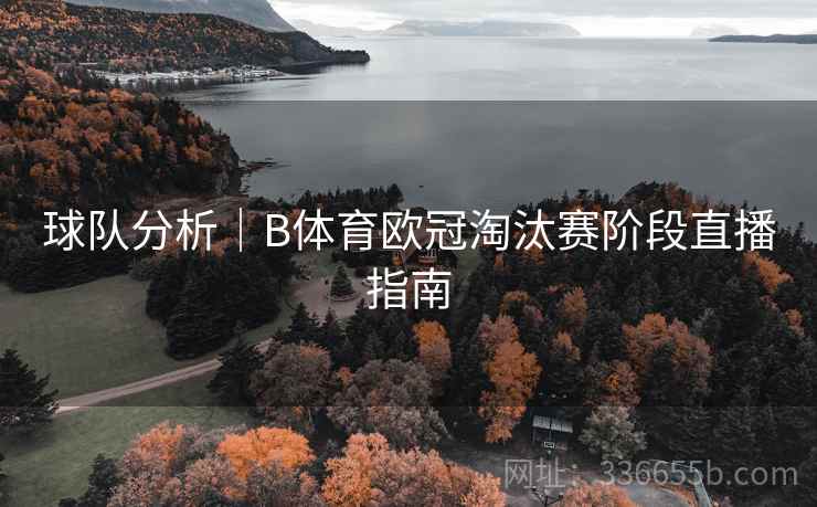 球队分析｜B体育欧冠淘汰赛阶段直播指南