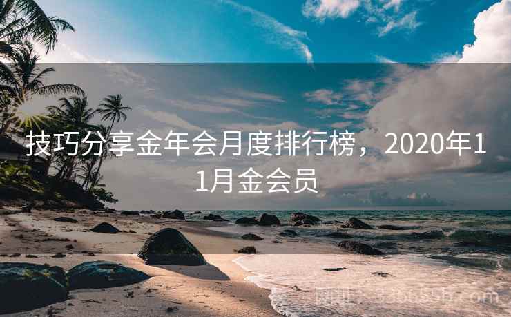 技巧分享金年会月度排行榜，2020年11月金会员