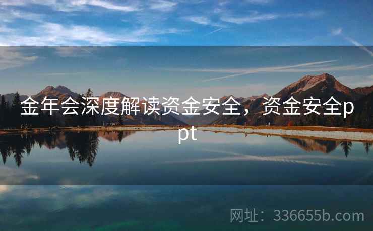 金年会深度解读资金安全，资金安全ppt