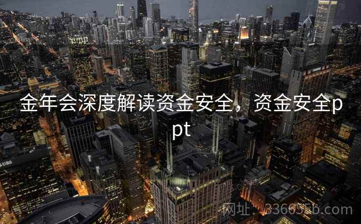 金年会深度解读资金安全，资金安全ppt