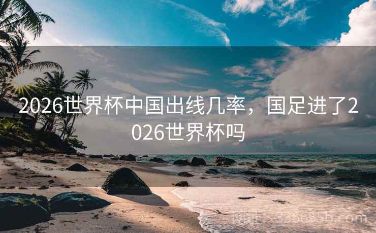 2026世界杯中国出线几率，国足进了2026世界杯吗