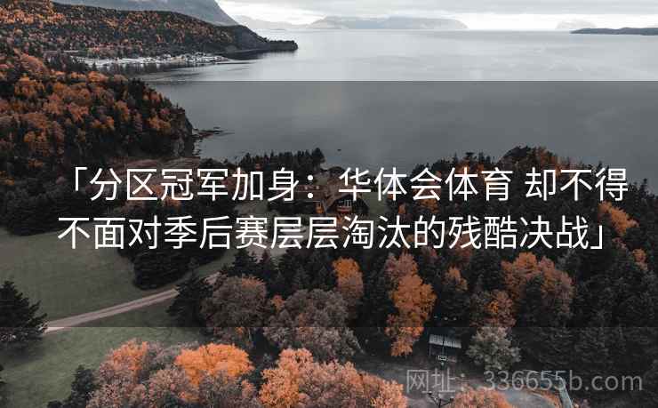 「分区冠军加身：华体会体育 却不得不面对季后赛层层淘汰的残酷决战」