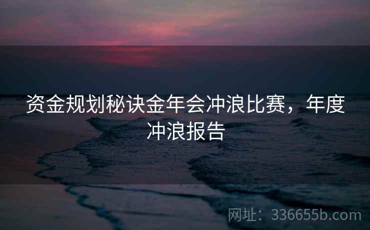 资金规划秘诀金年会冲浪比赛，年度冲浪报告