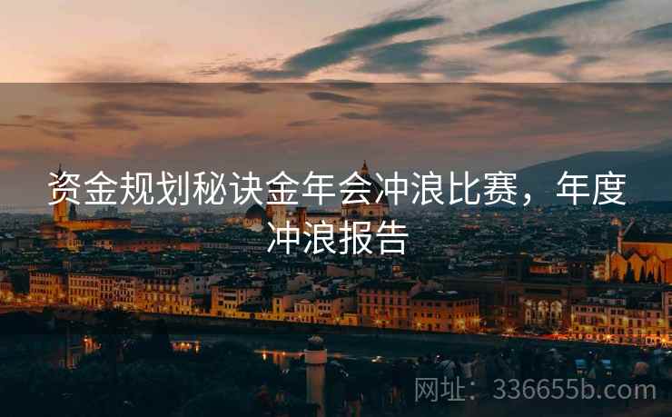 资金规划秘诀金年会冲浪比赛，年度冲浪报告
