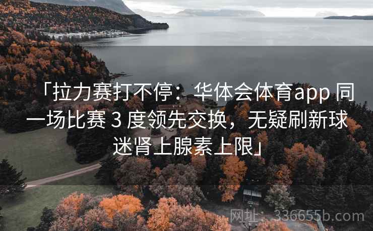 「拉力赛打不停：华体会体育app 同一场比赛 3 度领先交换，无疑刷新球迷肾上腺素上限」